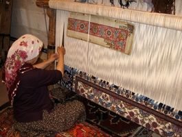 سقوط آزاد صادرات محصول ناب ایرانی 